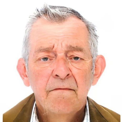 Daniel Van Ryckeghem